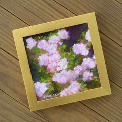 Champney's Pink Cluster