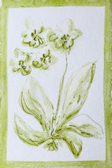 Toile Orchid No. 1