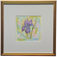 February Iris