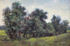 Field Boundary