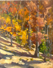 Forest Through the Trees