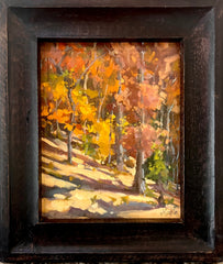 Forest Through the Trees