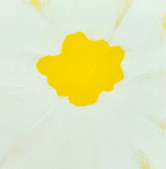Daisy Days 1