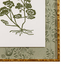 Botanical 53