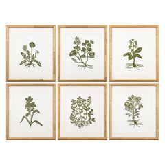 Botanical 63