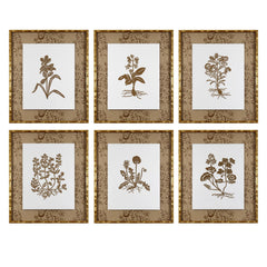 Botanical 27A