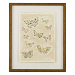 Butterflies 018