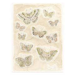Butterflies 018
