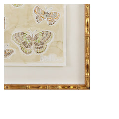Butterflies 019