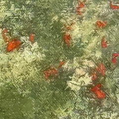 Monarch Migration