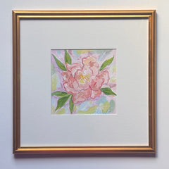 November Peony