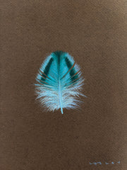 Quail Feather Blue