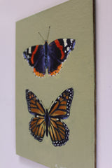 Red Admiral & Monarch