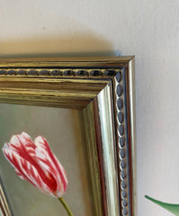 Tulip Study V
