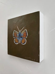 Western Pygmy Blue Butterfly