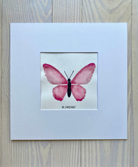 Butterfly No. 26