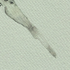 Fish Bone