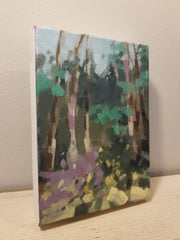 Muir Woods California