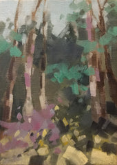 Muir Woods California