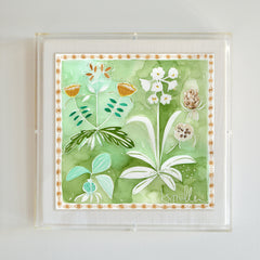 Botanical 013