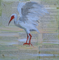 Landing on the Georgia Coast