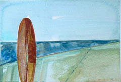 Surf's Up 13
