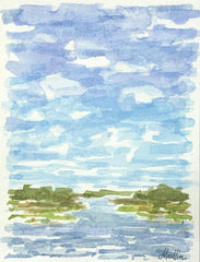 Tidal Marsh XX