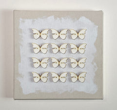 12 Butterflies 3