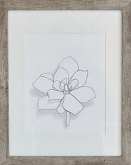 Abstract Succulent I