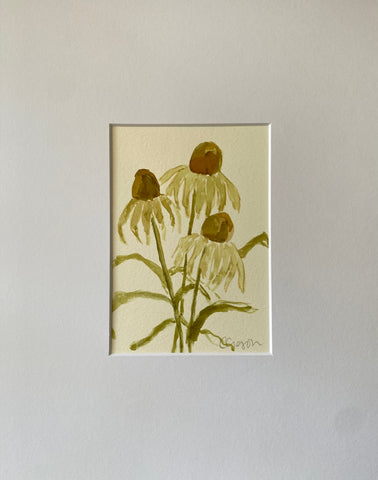 Coneflower