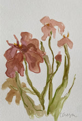 Mauve Iris