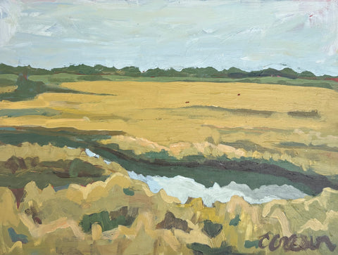 Marsh Matters