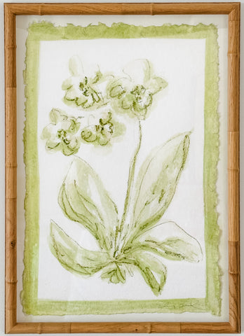 Toile Orchid No. 1
