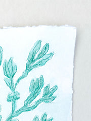 Viridian Seaweed No. 2