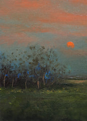 Evening Landscape Study