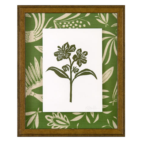 Peruvia Lily Green 01A