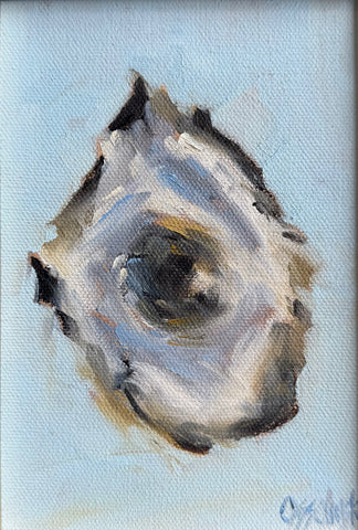 Half Shell