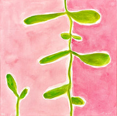Pinky Greens 2