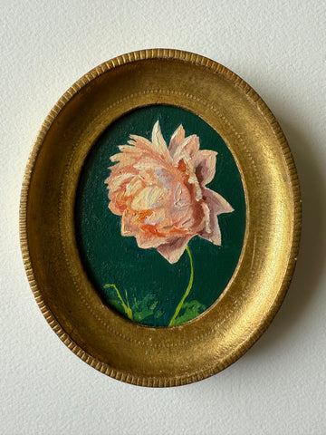 Dahlia in Peach III
