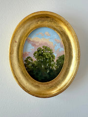 Sunset Treetops V