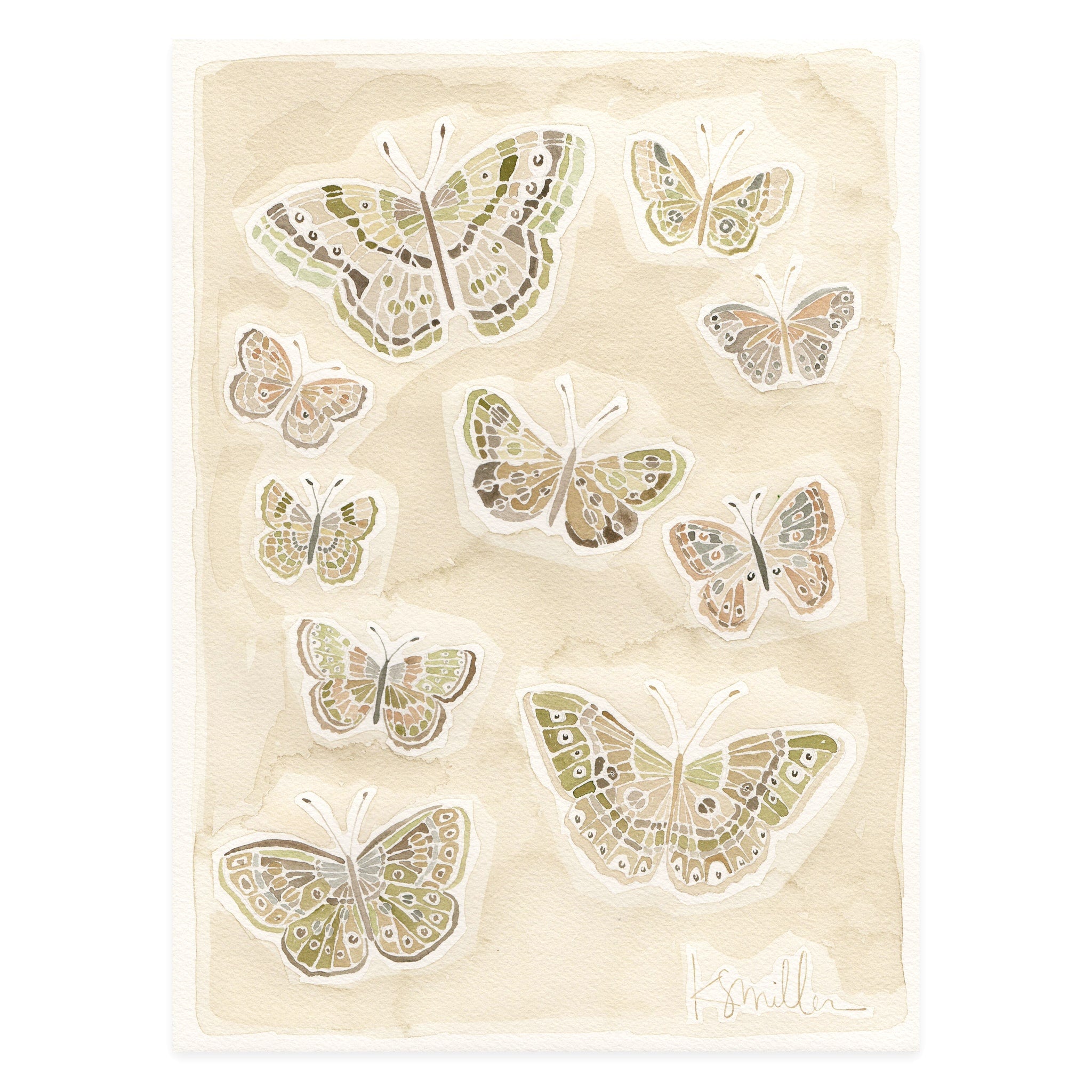 Butterflies 018