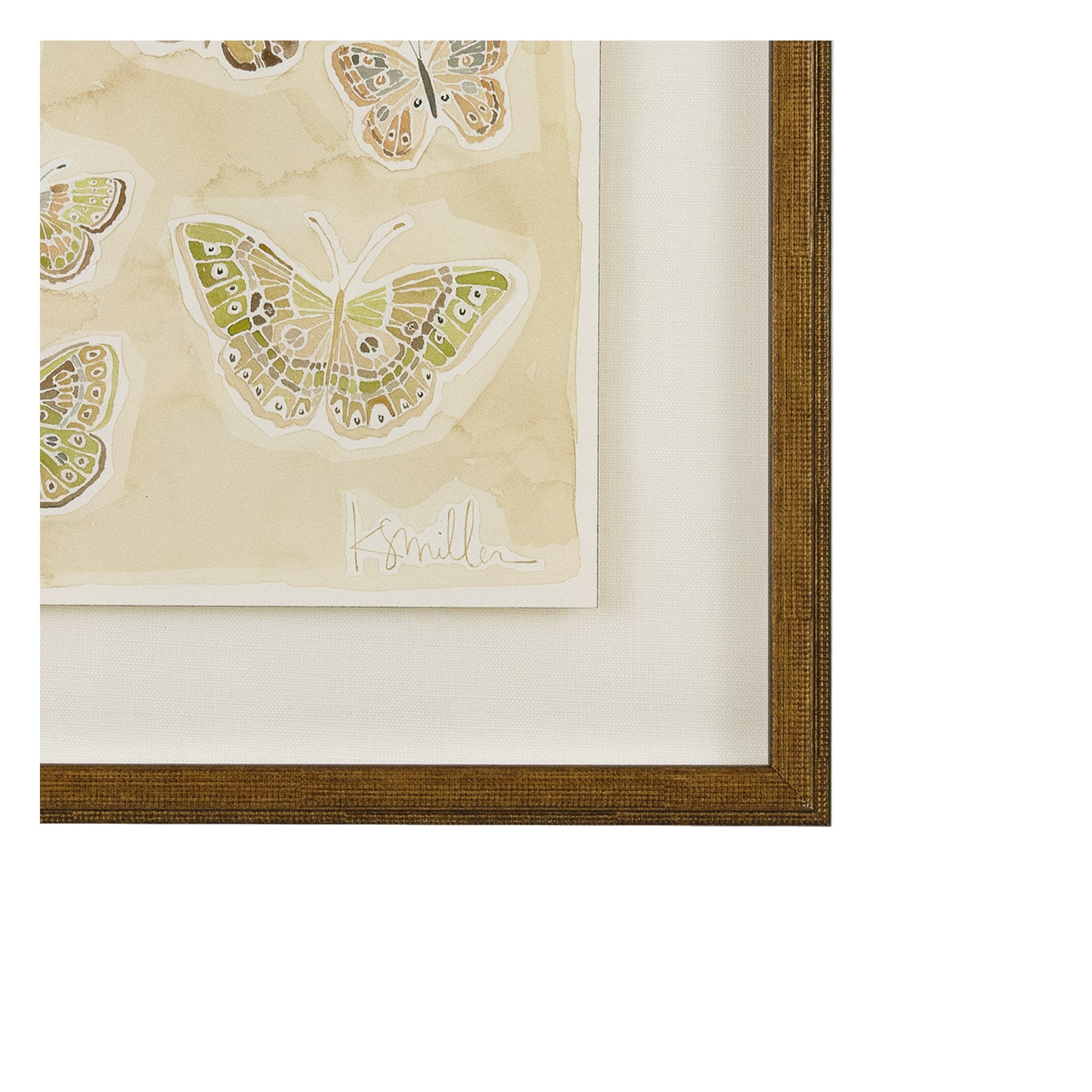 Butterflies 018
