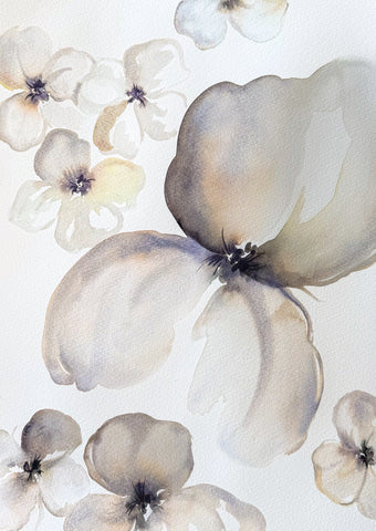 Quiet Petals 2