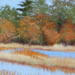 Lowcountry Fall - Ace Basin of SC