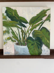 Elephant Ear