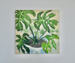 Monstera