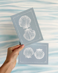 Shell Twins II