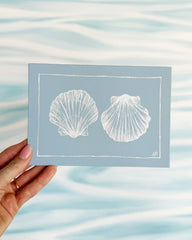 Shell Twins II