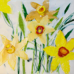 Daffodils