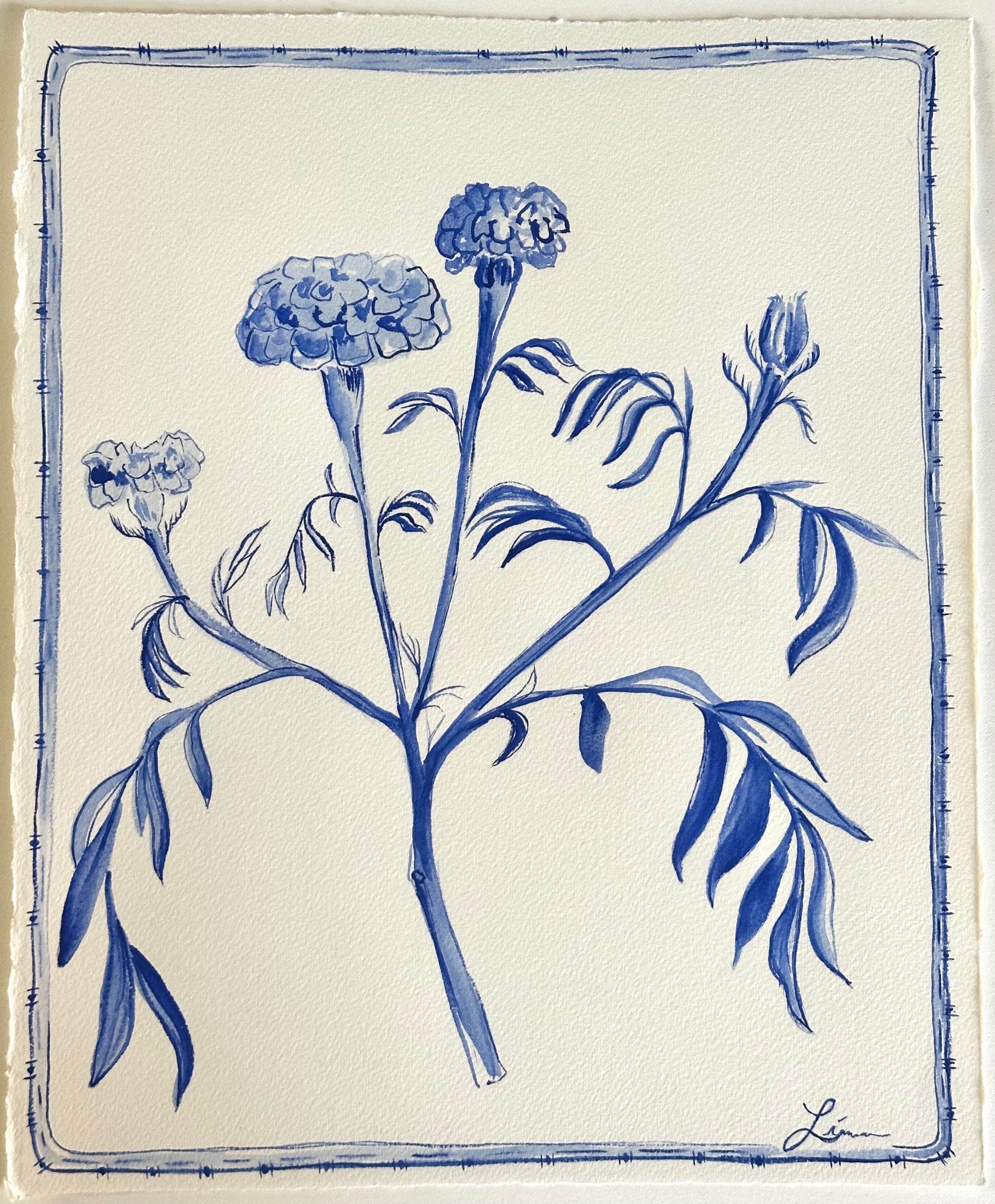 Blue Marigold